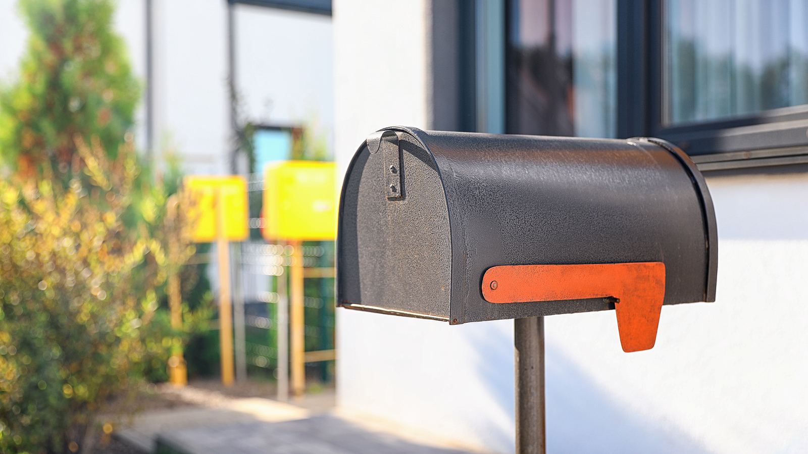 Featured image for “A CLOSER LOOK AT MAIL-ORDER ABORTION”